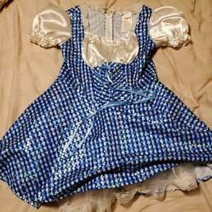 Wizard of Oz Dorthy costume medium